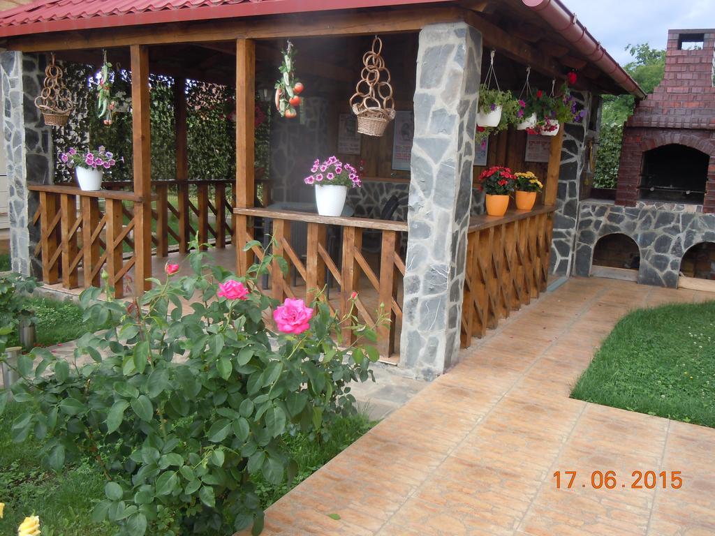 Pensiunea Marina Campina Exterior photo