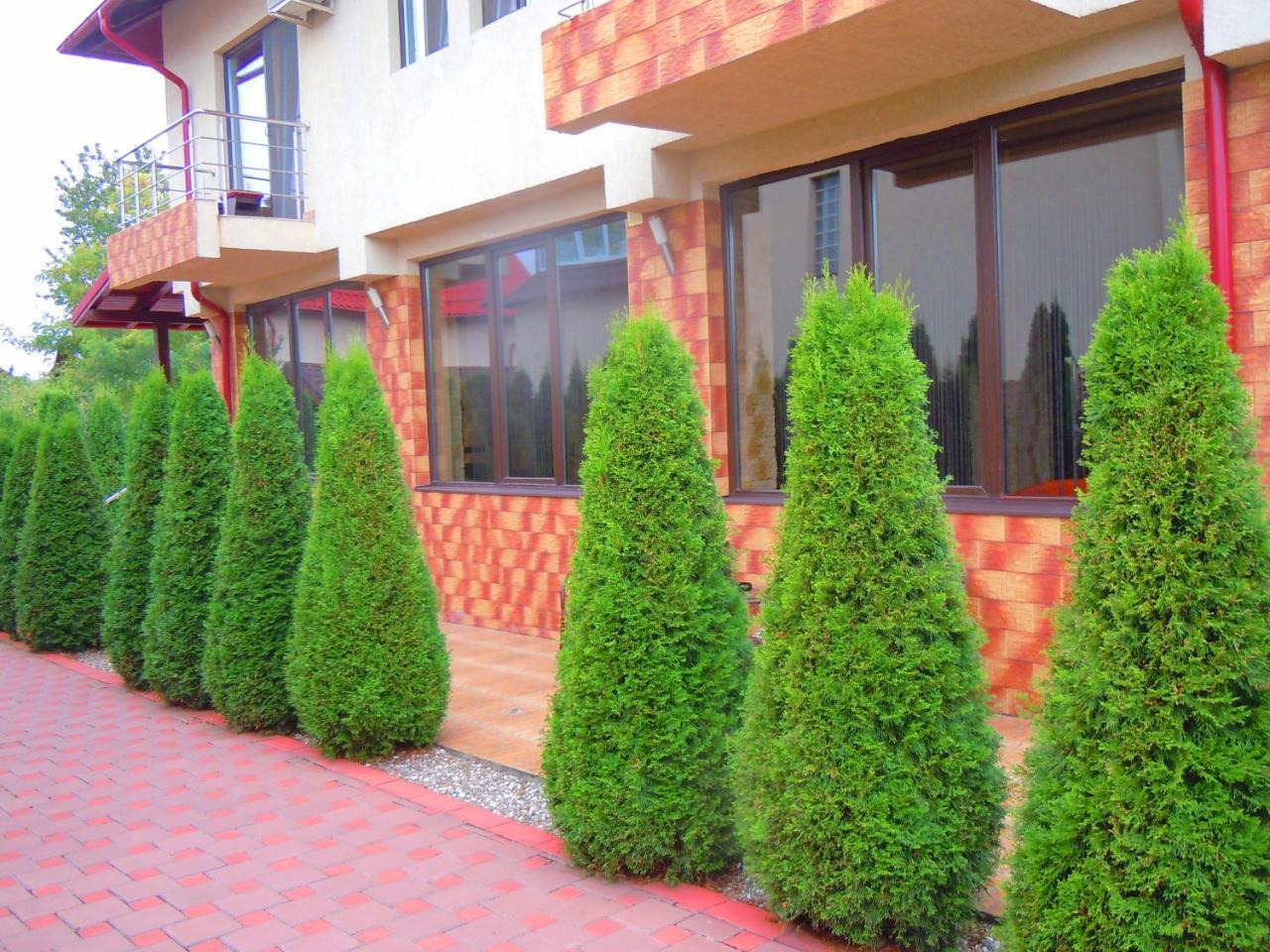 Pensiunea Marina Campina Exterior photo